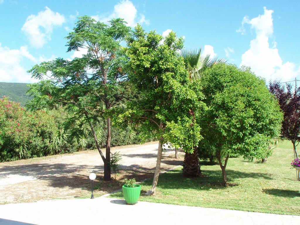 Finikes Studios Kefalonia Számi Kültér fotó