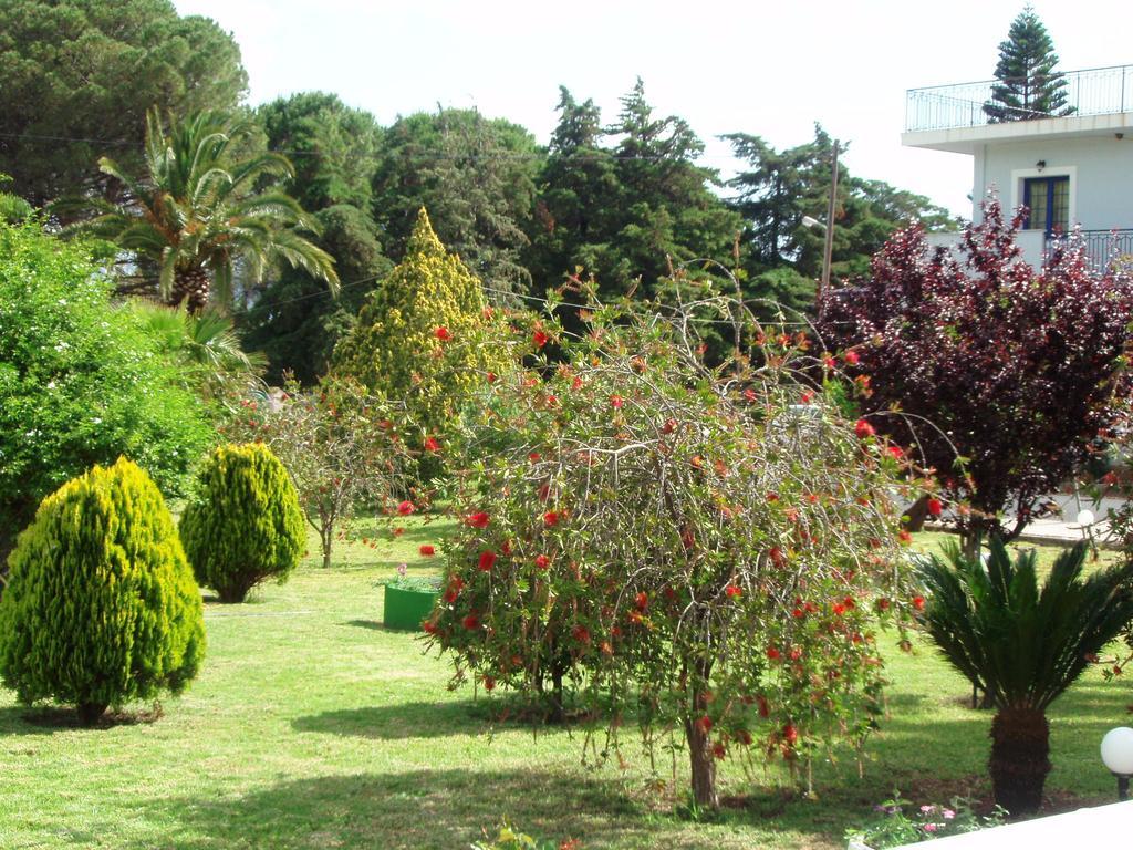 Finikes Studios Kefalonia Számi Kültér fotó