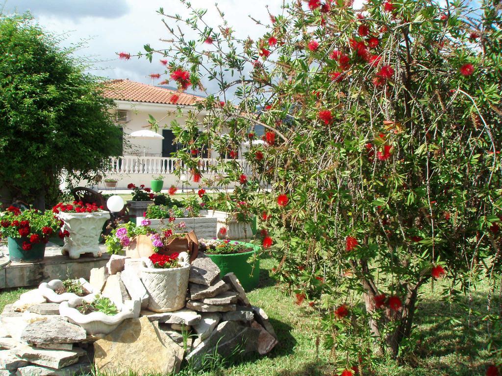 Finikes Studios Kefalonia Számi Kültér fotó