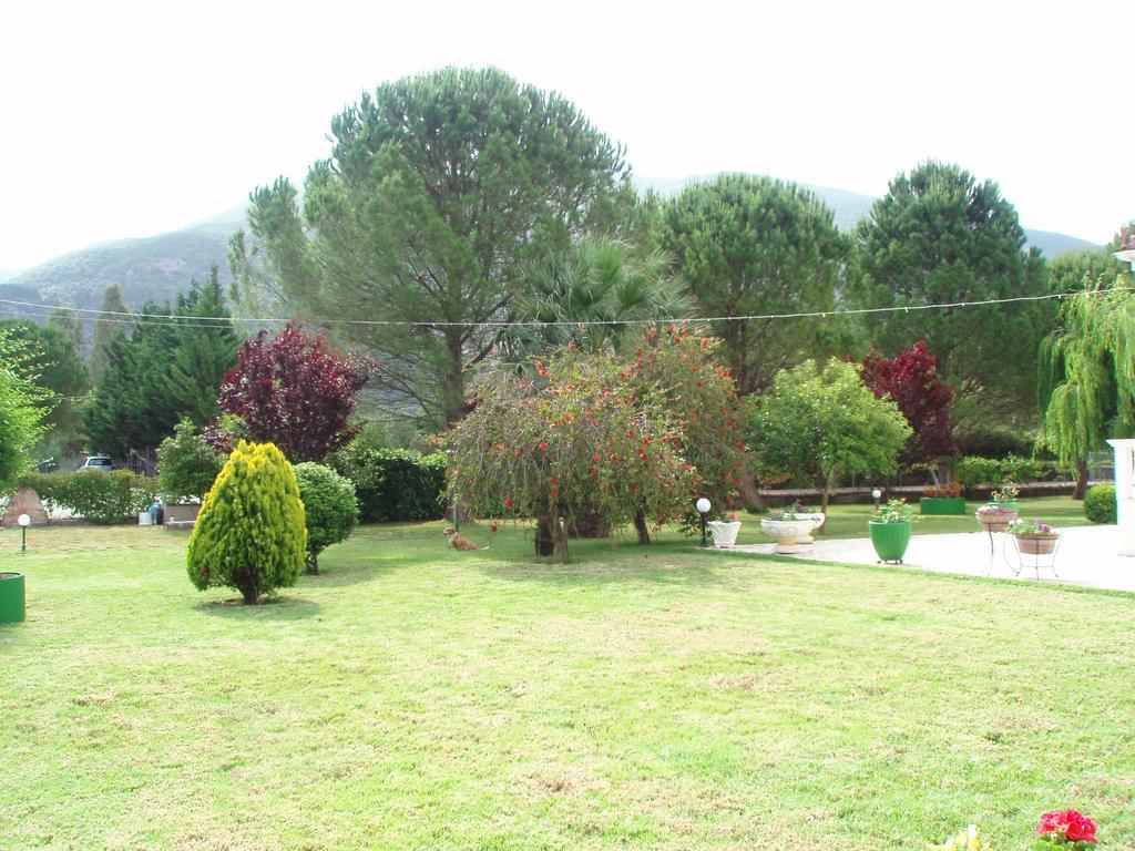 Finikes Studios Kefalonia Számi Kültér fotó