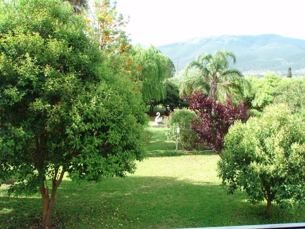 Finikes Studios Kefalonia Számi Kültér fotó